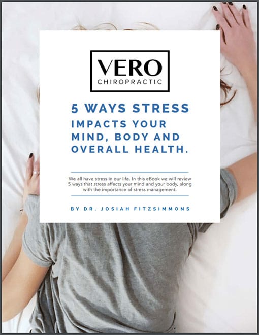 Chiropractic West Des Moines IA Stress eBook Cover